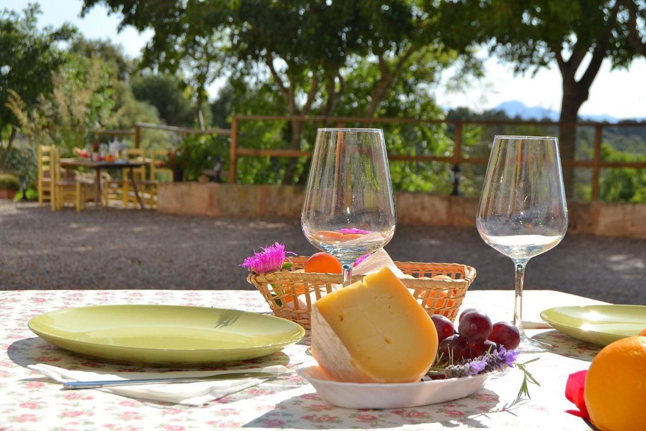 061 Rafal Des Turo Etv8343 By Mallorca Charme Holiday home *